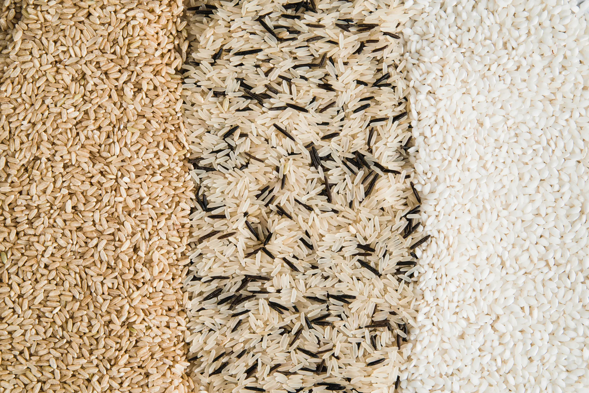 Rice varieties